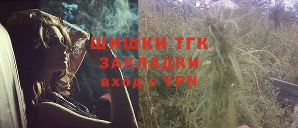 дживик Пестово