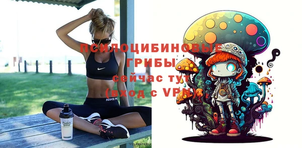 герыч Переславль-Залесский