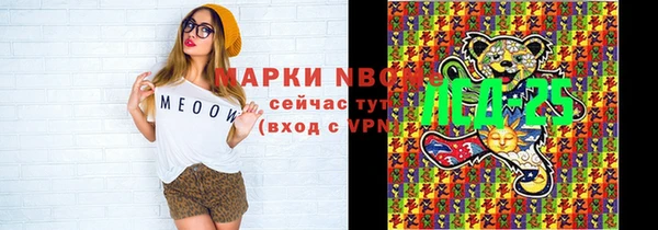 дживик Пестово