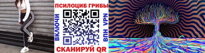 Галлюциногенные грибы Psilocybe  Кохма 